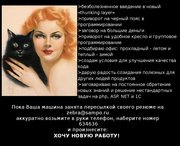 Asp. Net - программист
