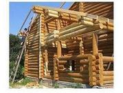 Срубы,  дома,  бани от СК  «ДревДом».