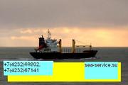 Компания «морской сервис» оказывает услуги.