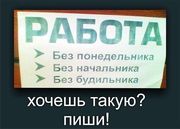 Свободные вакансии : консультанты .  