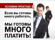 Рекламный оформитель