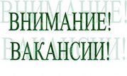 Требуется Маркетолог