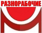 Разнорабочие- без специальной подготовки (пол значение не имеет)