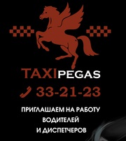 Водитель с личным легковым автомобилем