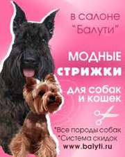 Требуется Администратор.