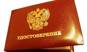 Ревизор-Проверяющий