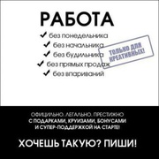 Управляющий интернет магазинами хозяйственных товаров
