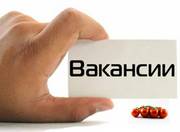 Региональный менеджер по продажам