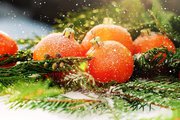 Новогодняя Абхазия!
