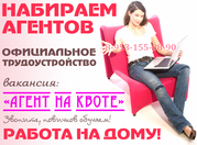 Риелтор в отдел аренды