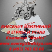 Внесение изменений в ЕГРЮЛ,  ЕГРИП,  Устав.