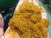 Сульфоуголь,  катионит,  силикагель.