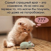 Построй бизнес и осуществи свои мечты
