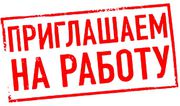 Новой строительной компании нужны высококвалифицированные специалисты